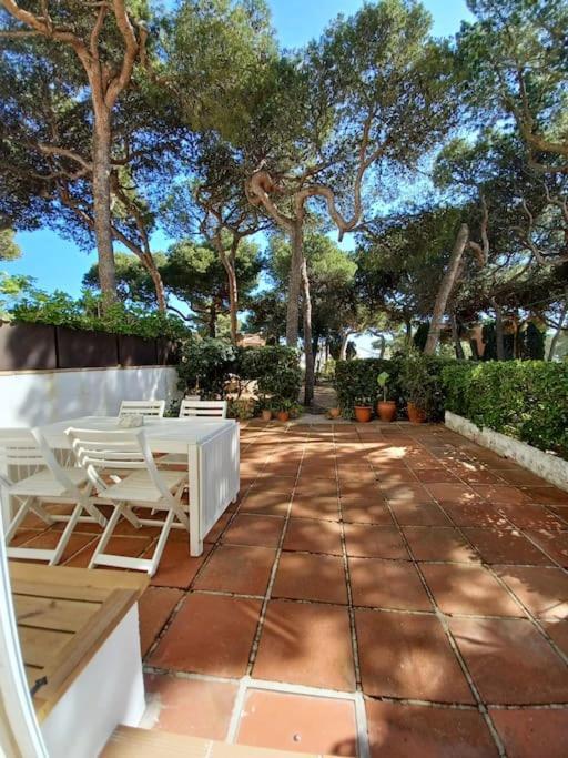 Apartamento Roc Mar Llafranc Dış mekan fotoğraf