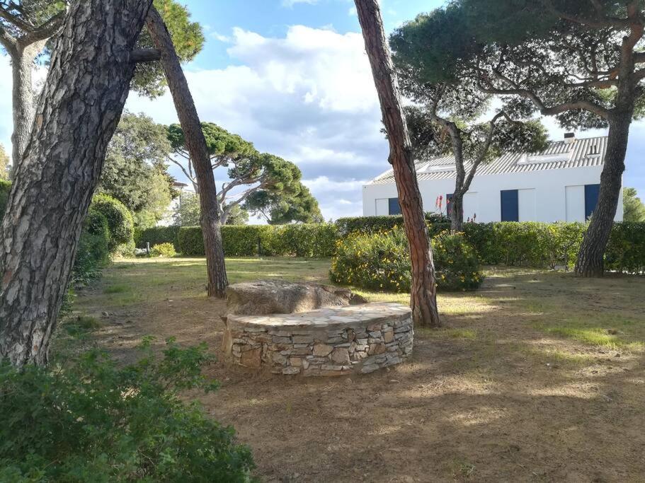 Apartamento Roc Mar Llafranc Dış mekan fotoğraf